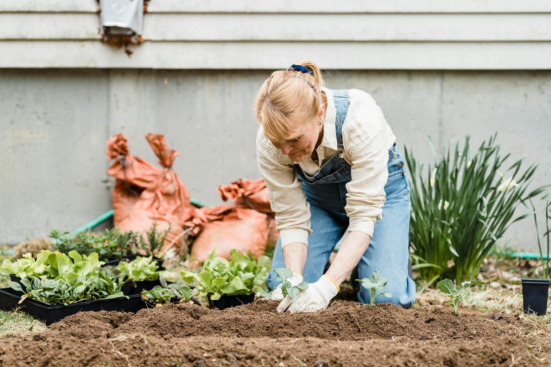 A woman wearing overalls tends to her vegetable garden.