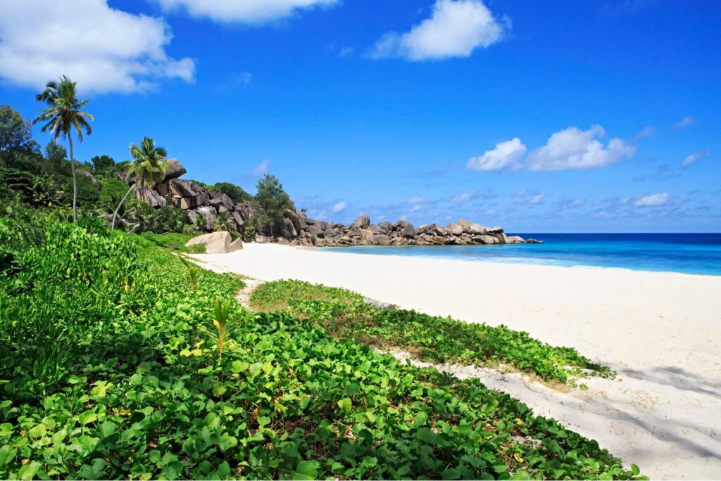 A beautiful picture of Etty Beach, which is not far from Direct Wealth's Innisfail office.